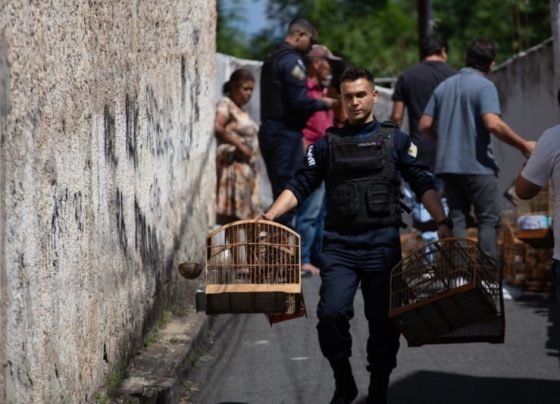 pm policia aves (2)