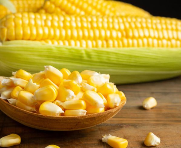 A diversidade do milho: um tesouro gastronômico e nutricional