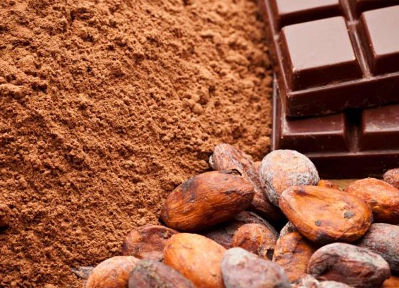 Dia do Cacau: da história milenar à transformação em chocolate