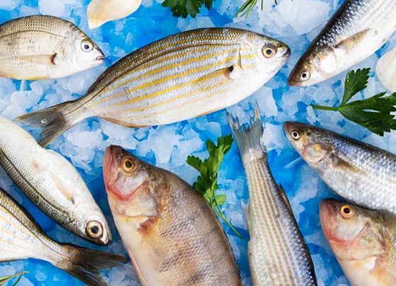 Peixes frescos, congelados ou secos: qual escolher?