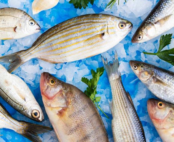 Peixes frescos, congelados ou secos: qual escolher?