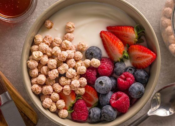Proteína de micélio: conheça a nova queridinha sustentável