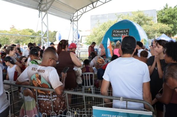 ‘Baby, me Leva!’ possibilita 47 adoções de cães e gatos durante evento no domingo