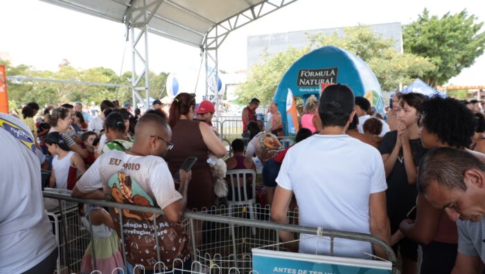 ‘Baby, me Leva!’ possibilita 47 adoções de cães e gatos durante evento no domingo