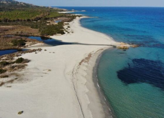Vista aérea de praia européia, onde vacas dividem faixa de areia com turistas