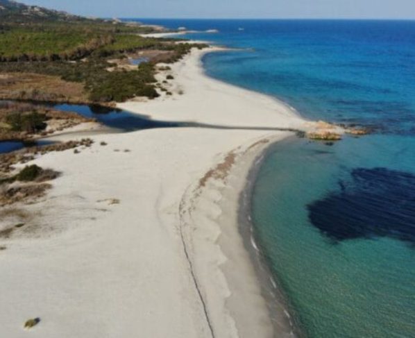 Vista aérea de praia européia, onde vacas dividem faixa de areia com turistas