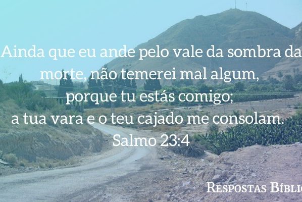 Ainda que eu andasse pelo vale da sombra da morte, não temeria mal algum, porque tu estás comigo; a tua vara e o teu cajado me consolam. (Salmo 23:4)