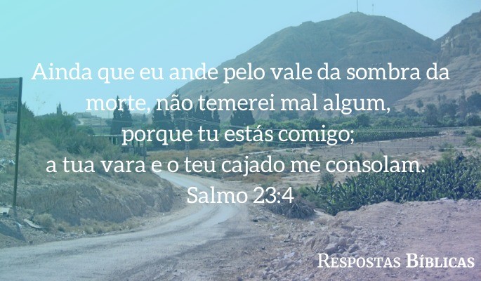Ainda que eu andasse pelo vale da sombra da morte, não temeria mal algum, porque tu estás comigo; a tua vara e o teu cajado me consolam. (Salmo 23:4)