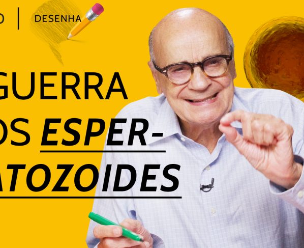 Entenda o caminho do espermatozoide até a fecundação do óvulo