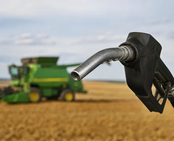 Mercadante defende atuação do Estado contra choque do petróleo