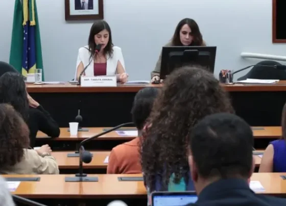 Grupo de Trabalho sobre Crimes Praticados em Razão de Misoginia. (Fonte: Agência Câmara de Notícias)