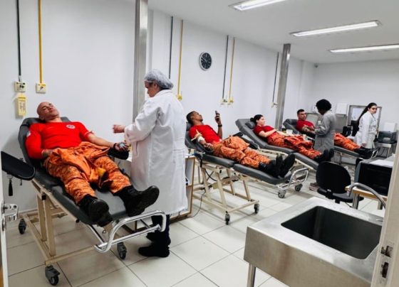 bombeiros sangue voltaredonda (1)