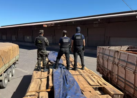 50 toneladas de cocaína