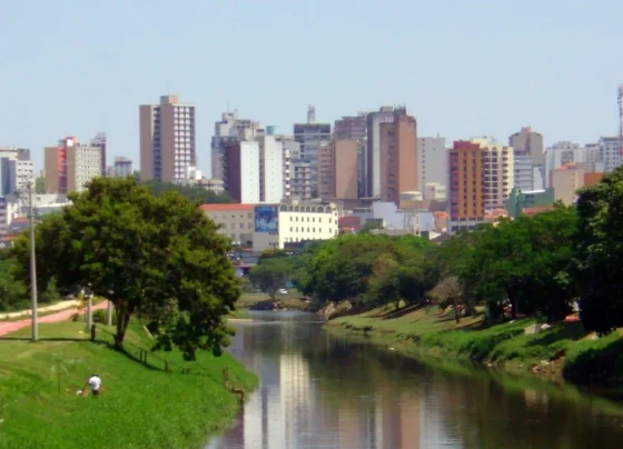 A imagem mostra uma paisagem urbana vista a partir de um rio ou canal, com bastante área verde em primeiro plano e um conjunto de edifícios altos ao fundo.