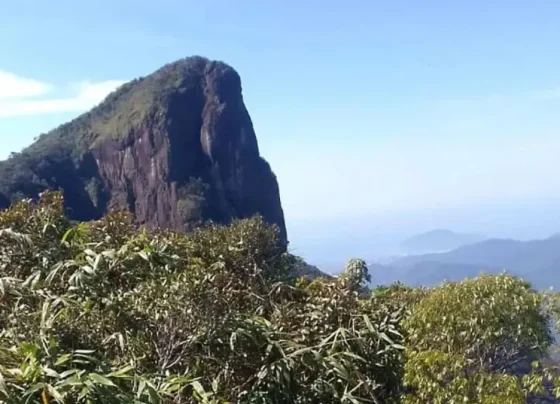 Foto aérea do Pico do Corcovado, em Ubatuba
