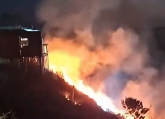 Chá revelação com fogos