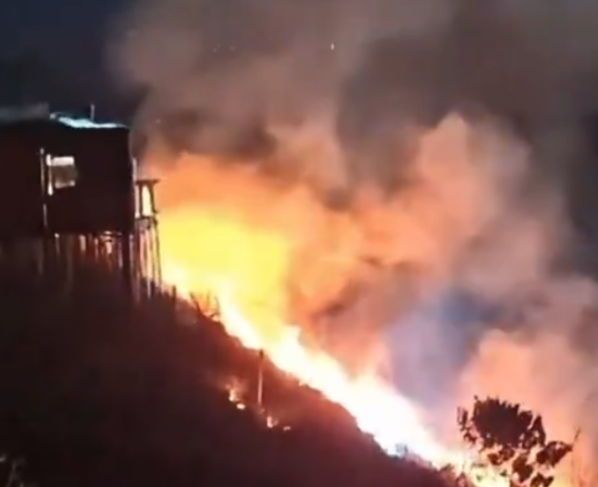 Chá revelação com fogos