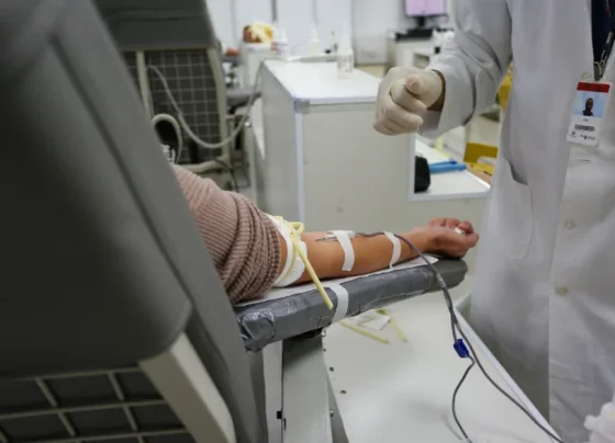 Doação de sangue em SP: veja quem pode doar e quais são os impedimentos temporários