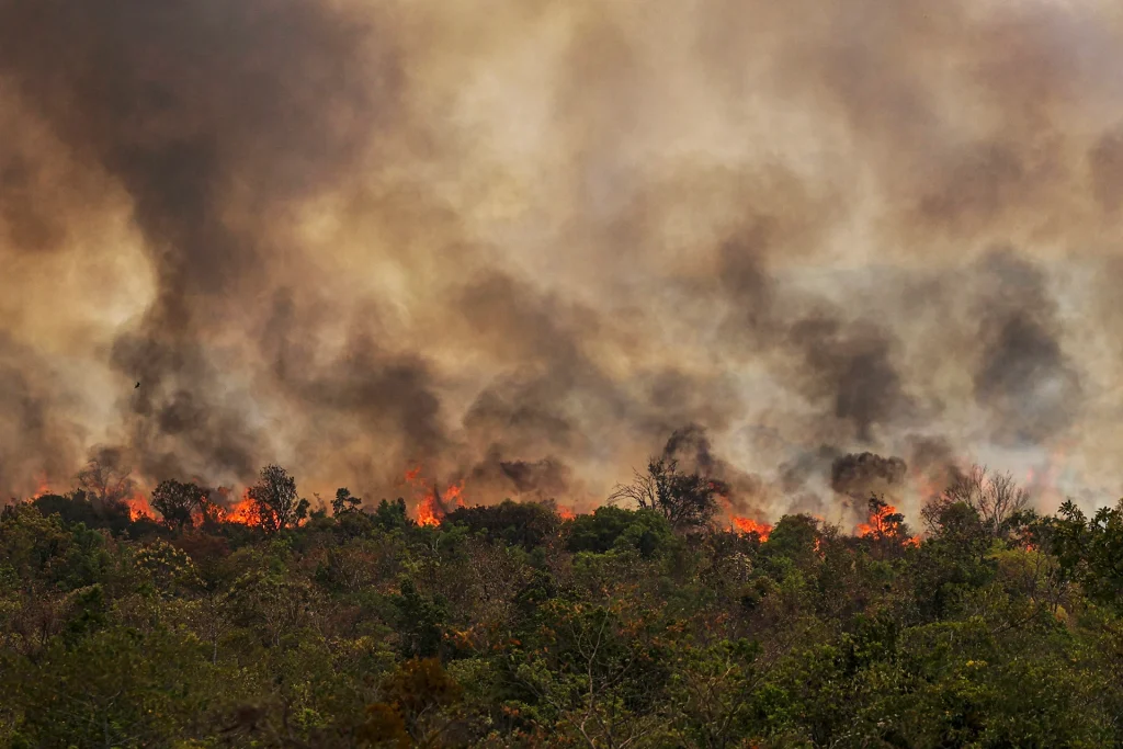 Brasília (DF), 16/09/2024 Grandes focos de incêndio atingem áreas do Parque Nacional de Brasília Foto: Marcelo Camargo/Agência Brasil