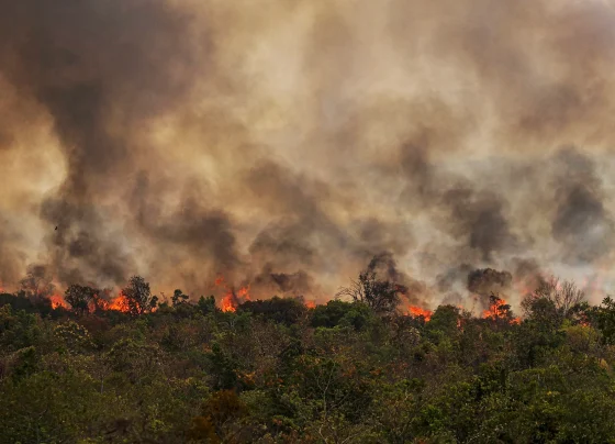 Brasília (DF), 16/09/2024 Grandes focos de incêndio atingem áreas do Parque Nacional de Brasília Foto: Marcelo Camargo/Agência Brasil