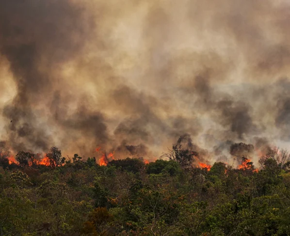 Brasília (DF), 16/09/2024 Grandes focos de incêndio atingem áreas do Parque Nacional de Brasília Foto: Marcelo Camargo/Agência Brasil
