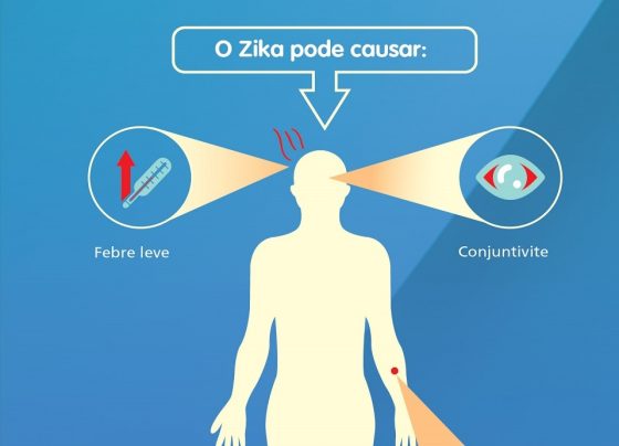 Infográfico Zika