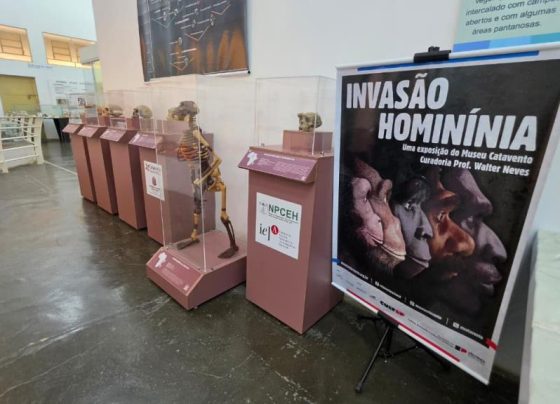 Museu de História Natural de Taubaté recebe exposição ‘Invasão Hominínia’, do Museu Catavento*
