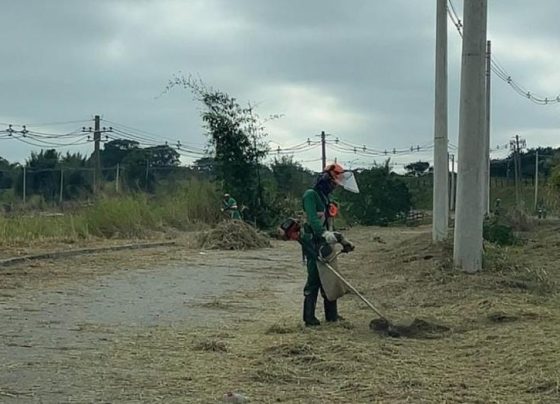 Prefeitura realiza roçada na estrada de Ferro Central do Brasil, na região do Quiririm