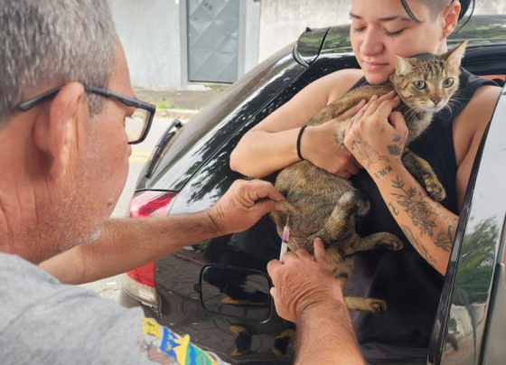 Prefeitura realiza vacinação antirrábica de cães e gatos no bairro Santa Fé