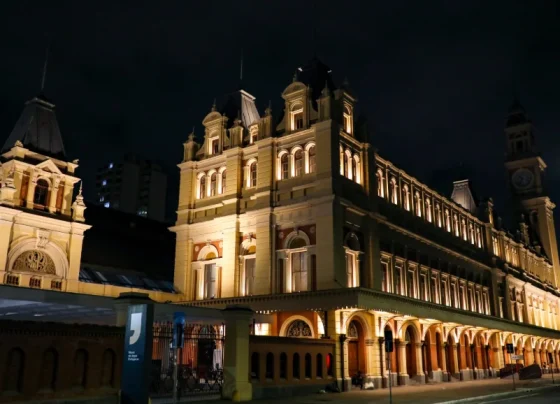 Revelando SP, exposição sobre Mata Atlântica e Carreta do Museu Catavento: veja destaques culturais em SP
