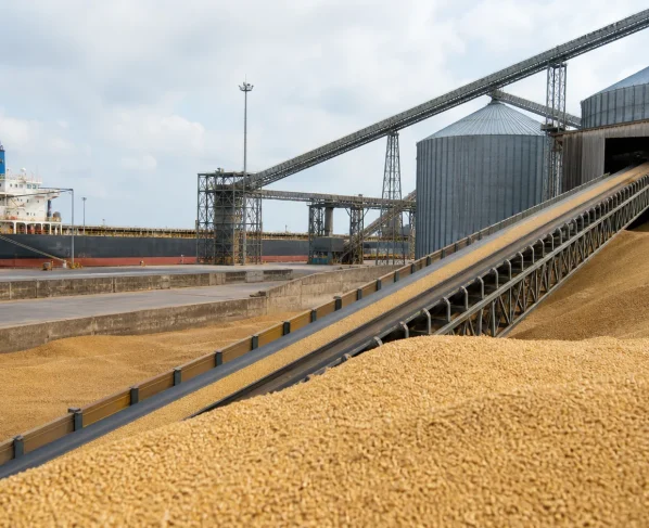 USDA informa venda de 190 mil toneladas de farelo de soja dos EUA para as Filipinas