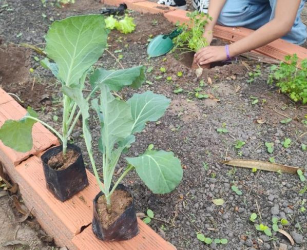 Gincana ecológica mobiliza escolas e dá novo destino aos recicláveis em Mongaguá