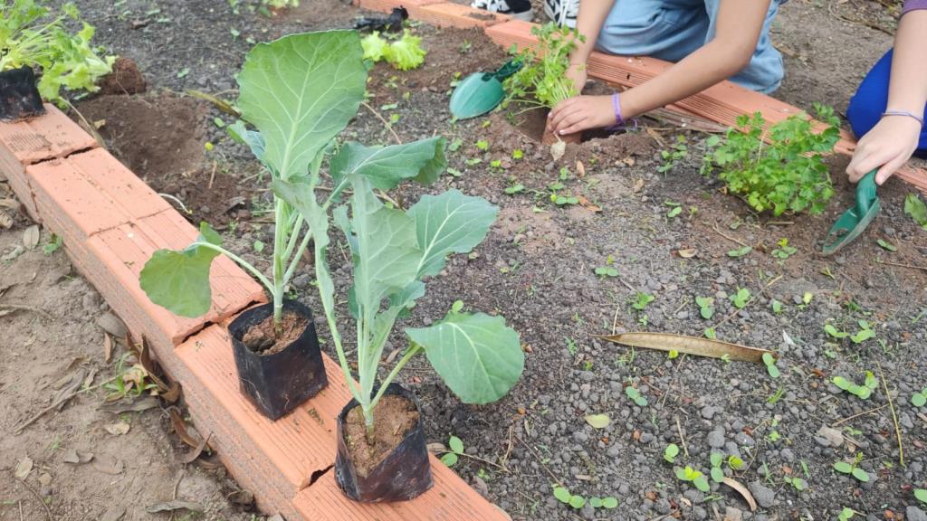 Gincana ecológica mobiliza escolas e dá novo destino aos recicláveis em Mongaguá